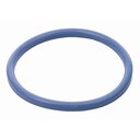 Milchrohrverschraubungsring DN 20 (3/4 Zoll) NBR (für DIN 11851) Blau
