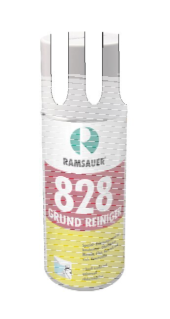 RAMSAUER GRUND REINIGER